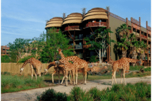 Read more about the article 6 Wild Reasons to Book Animal Kingdom Lodge with HotelStayNow.com