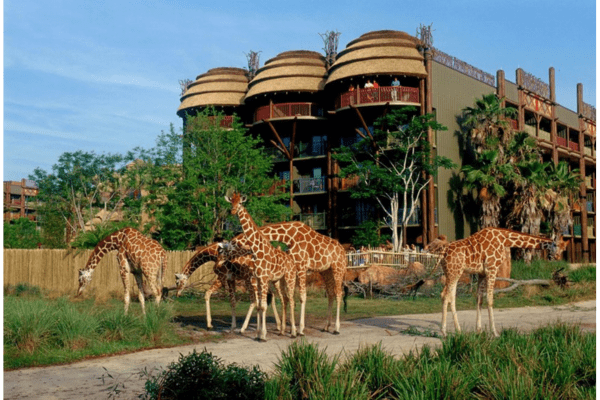 Read more about the article 6 Wild Reasons to Book Animal Kingdom Lodge with HotelStayNow.com